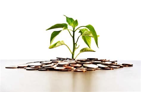 Franklin U.S. Small Cap Equity Fund .